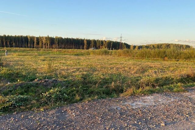 городской округ Павловский Посад фото