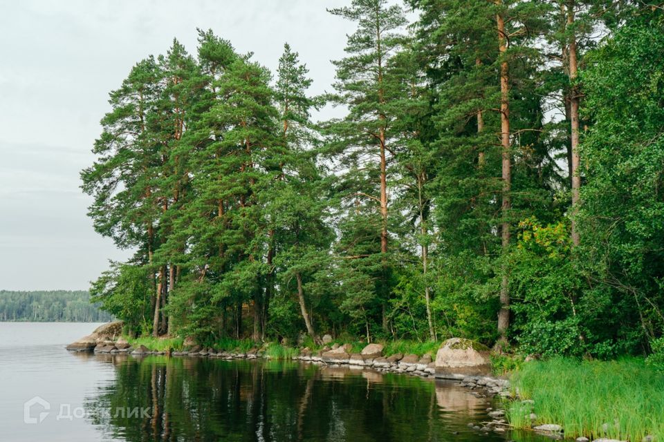 земля р-н Выборгский фото 4