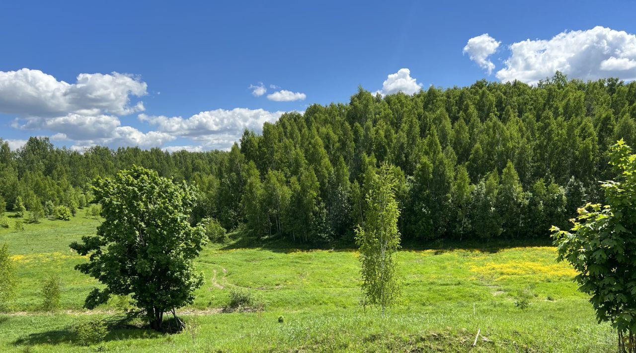 земля р-н Жуковский с Овстуг фото 4