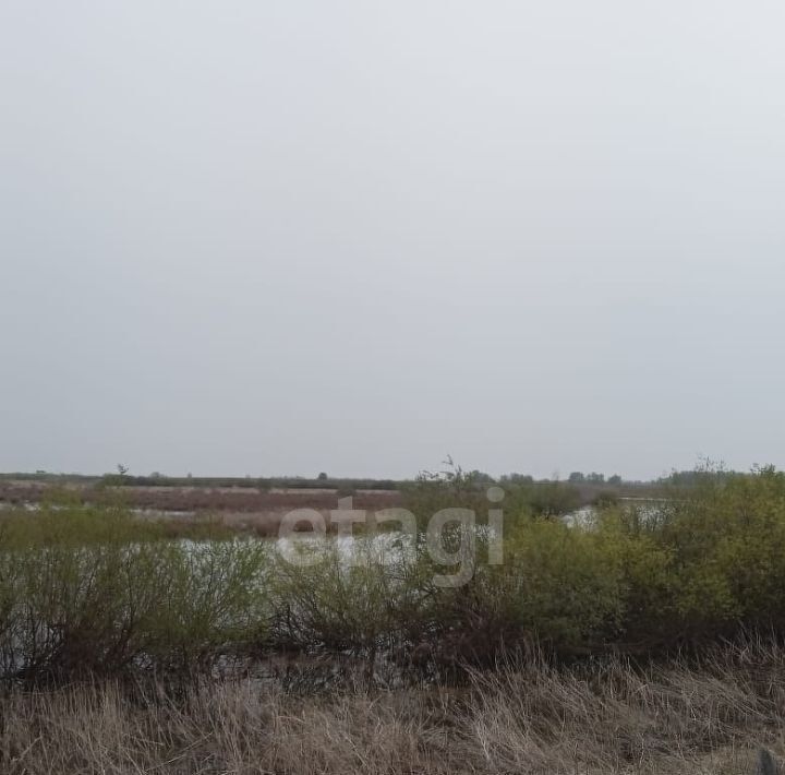 дом р-н Казанский д Баландина ул Баландино Малое фото 9