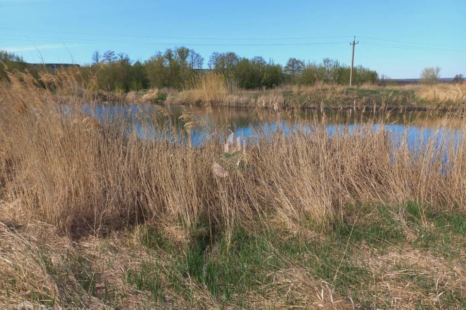 земля р-н Новобурасский село Чернышевка фото 6