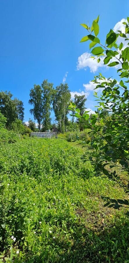 земля г Красноярск р-н Октябрьский снт Березка 5 фото 4
