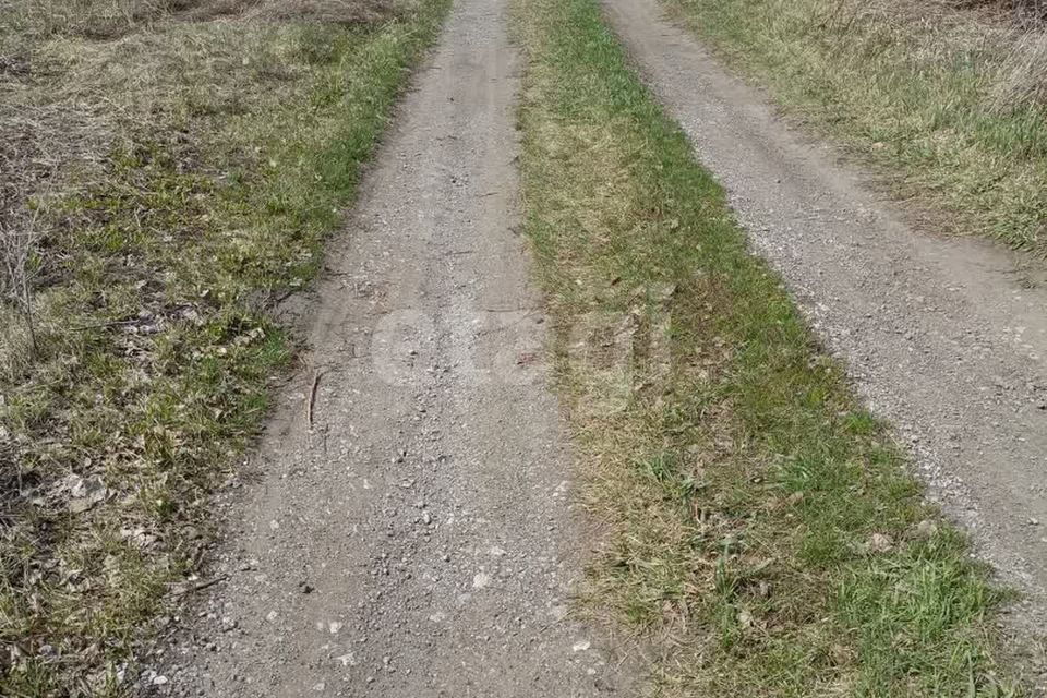 земля г Бердск городской округ Бердск, СНТ Луч фото 4