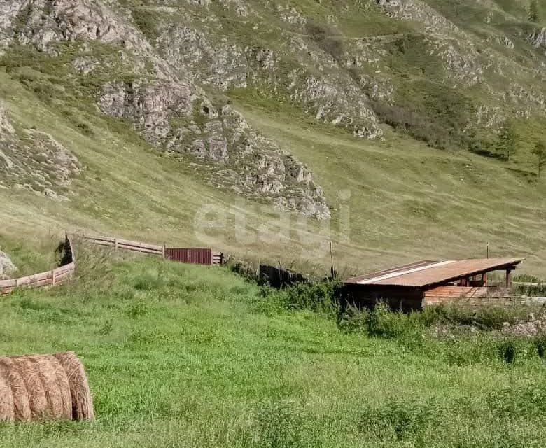 земля р-н Усть-Коксинский село Верх-Уймон фото 3