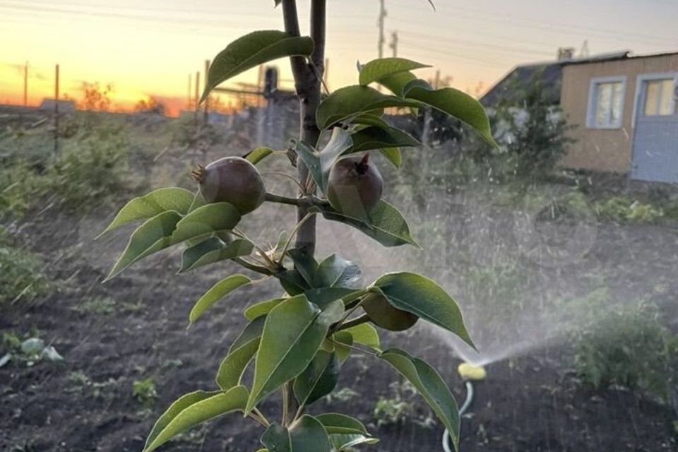 дом р-н Каневской ст-ца Стародеревянковская пер Кубанский Стародеревянковское сельское поселение фото 8