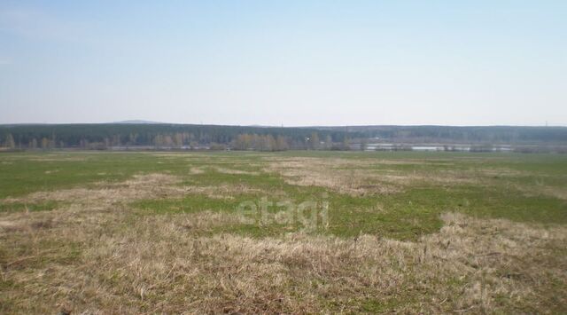 земля урочище, Нижний Тагил городской округ, Нива фото