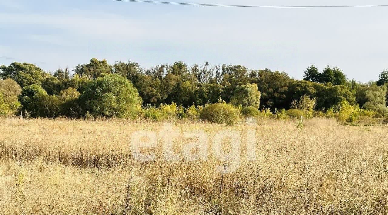 земля р-н Алексеевский г Алексеевка ул Нижняя фото 4