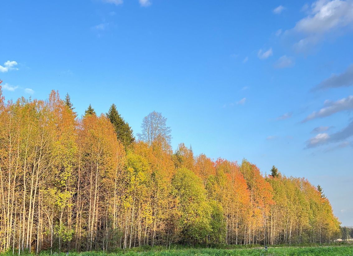 земля г Пермь р-н Свердловский Новобродовский мкр фото 2