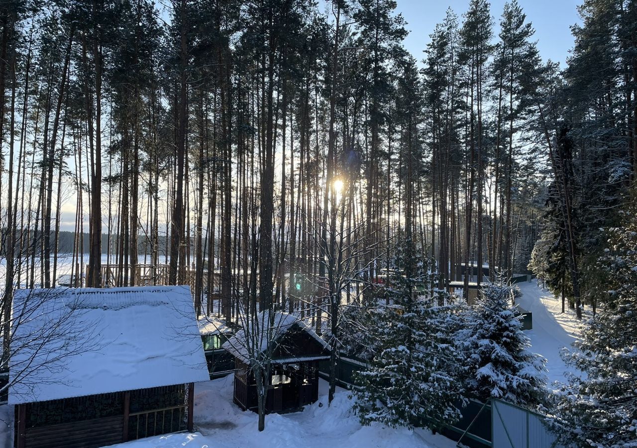 дом р-н Городецкий сельский пос. Волжское лесничество, 15, Чкаловск фото 26