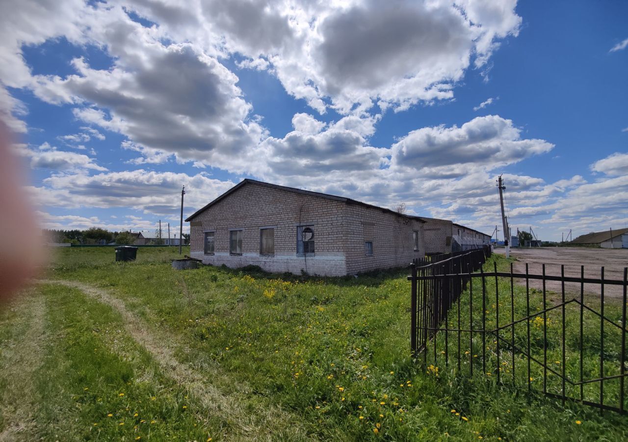 производственные, складские р-н Аургазинский с Тукаево ул Молодежная 1з Тукаевский сельсовет, Толбазы фото 2