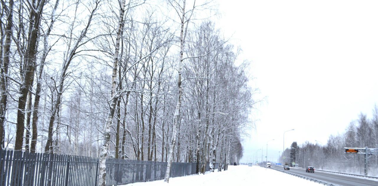 земля р-н Всеволожский Агалатовское с/пос, Александрийский Парк кп, Парнас фото 2