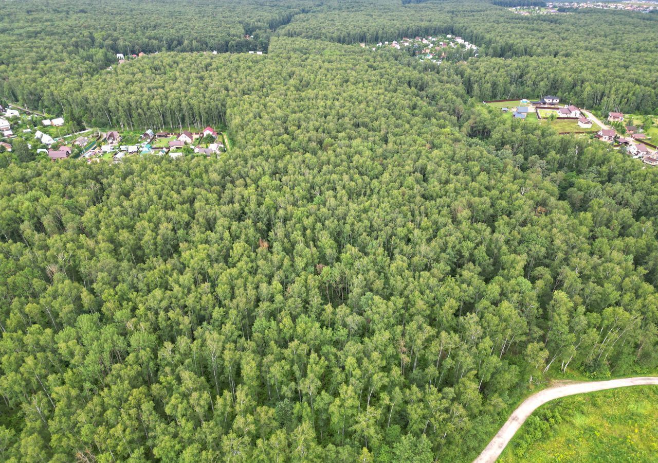 земля городской округ Ступино д Толочаново ул Овражная 9769 км, Ильинское, Новокаширское шоссе фото 4