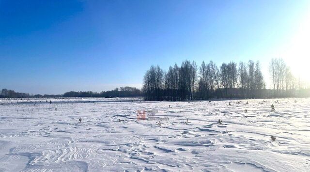 р-н Тюменский Новокаменский кп, ул. Гоголя фото