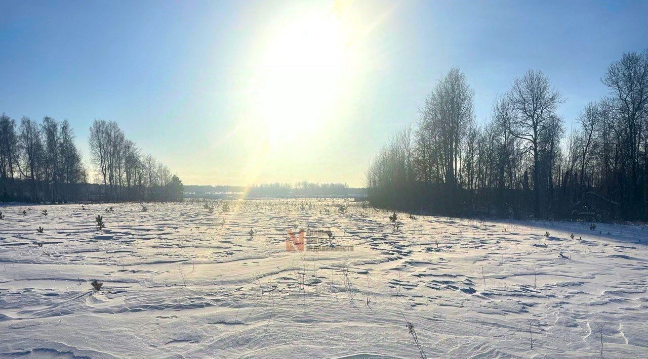 земля р-н Тюменский Новокаменский кп, ул. Гоголя фото 2