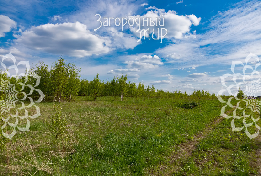 земля городской округ Солнечногорск д Лопотово Пятницкое, городской округ Солнечногорск фото 4