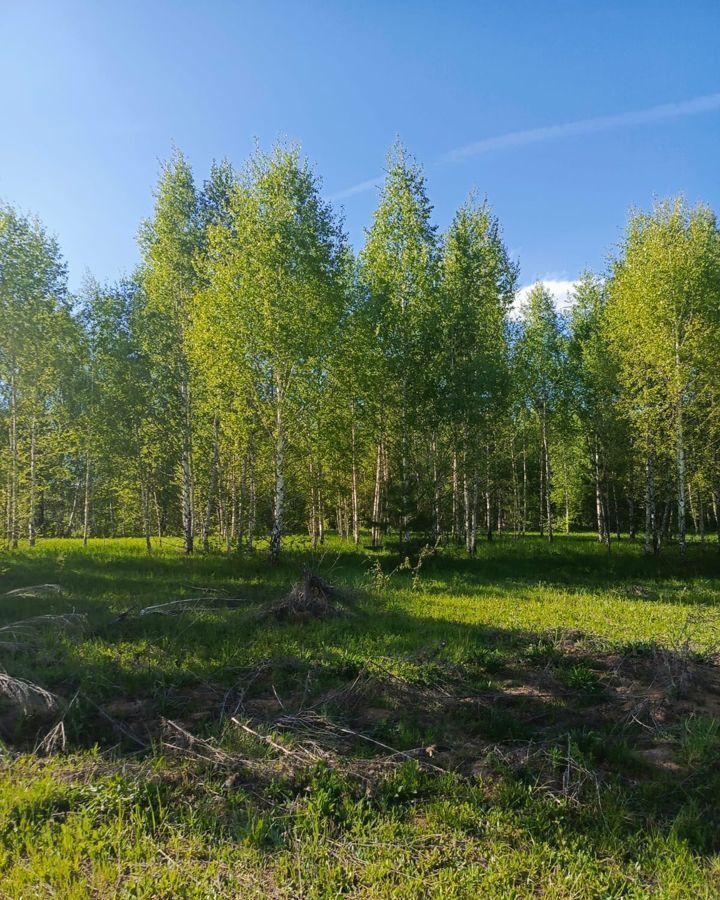 земля г Казань ул Зеленая Роща Мамадышский тракт фото 3