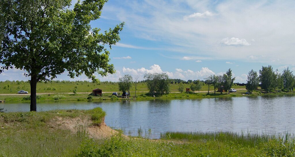 земля г Чехов Заречная улица, городской округ Чехов, ДНТ Васильково фото 9