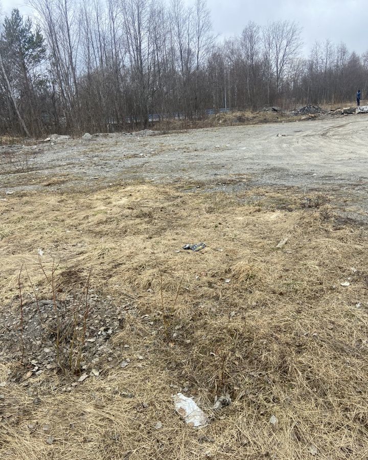 земля р-н Медвежьегорский пгт Повенец ул Титова Повенецкое городское поселение, Пиндуши фото 2