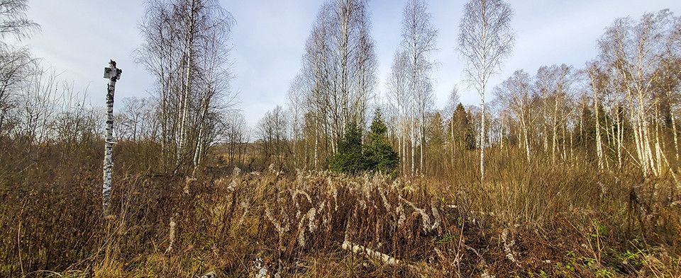 земля городской округ Дмитровский территория объединения Ново-Карцево фото 2