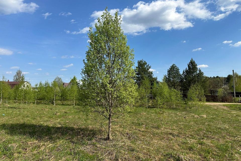 земля городской округ Истра деревня Сафонтьево фото 3