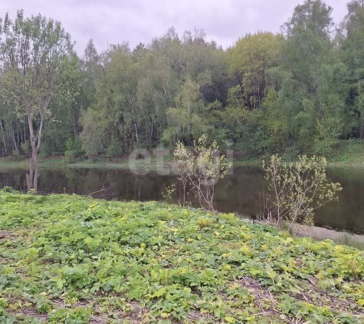 земля посёлок Новое Сонино, городской округ Домодедово, деревня Сонино фото 3