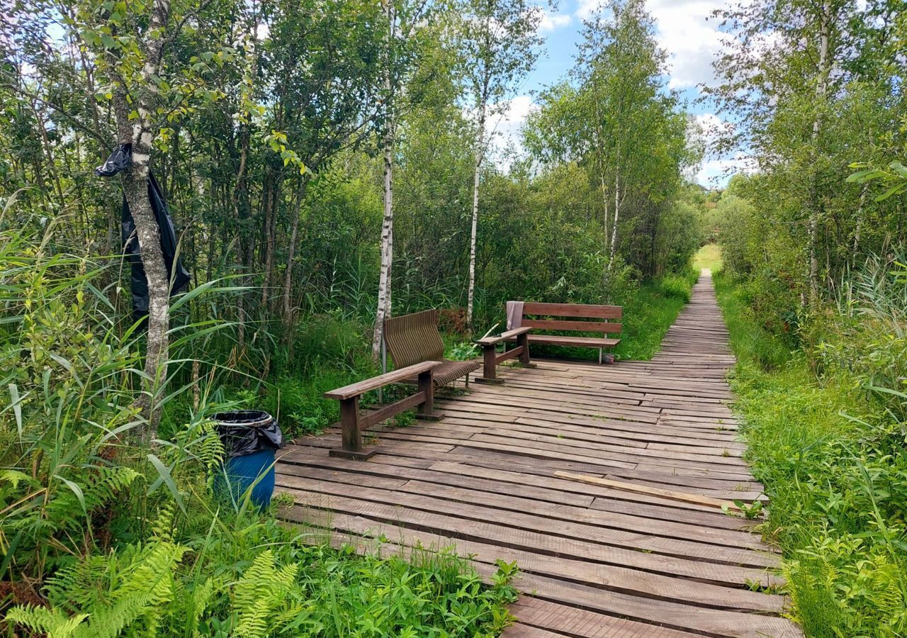 земля городской округ Мытищи с Марфино 9743 км, Дмитровское шоссе фото 10