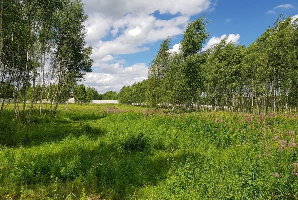 земля городской округ Дмитровский д Волдынское фото 30