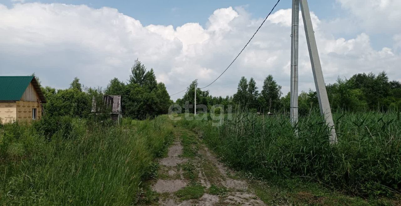 земля р-н Хабаровский Тополевское сельское поселение, Хабаровск, садовое товарищество Заря фото 5