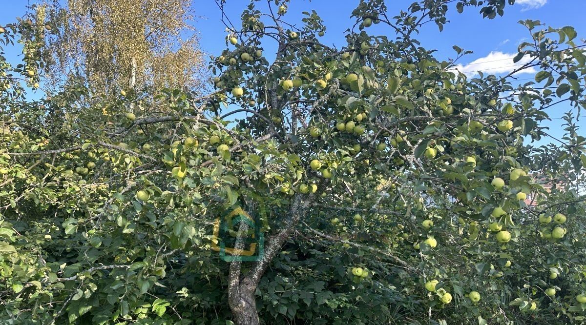 дом р-н Всеволожский массив Борисова Грива снт Строитель Рахьинское городское поселение, 7-я линия фото 11