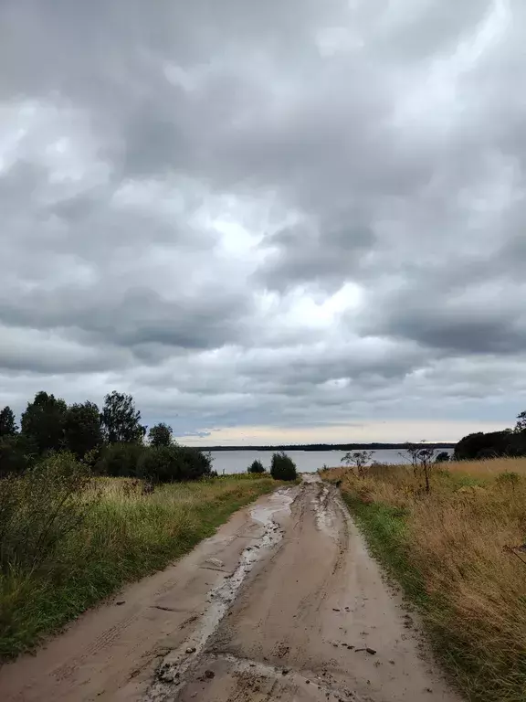 дом р-н Приозерский п Плодовое ул Береговая 41/1 фото 19