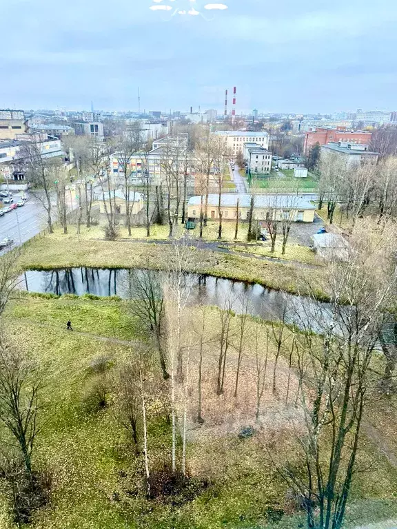 квартира г Санкт-Петербург метро Выборгская ул Жукова 3а Ленинградская область фото 21