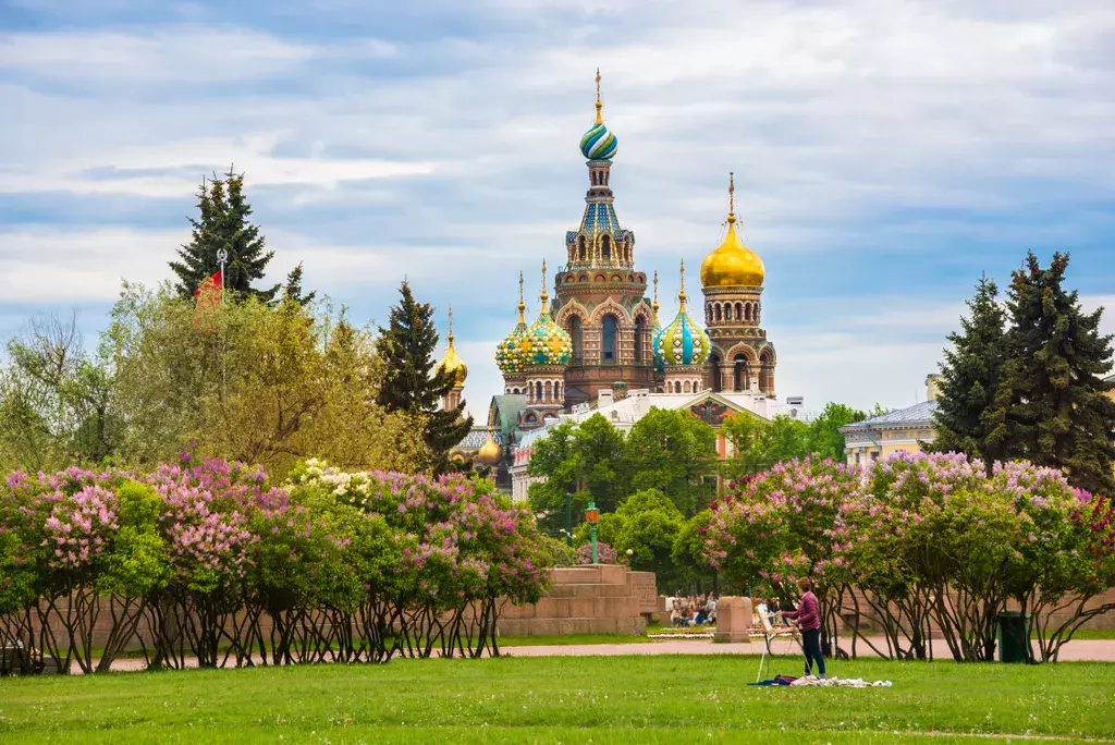 квартира г Санкт-Петербург метро Чернышевская ул Моховая 5 Ленинградская область фото 39