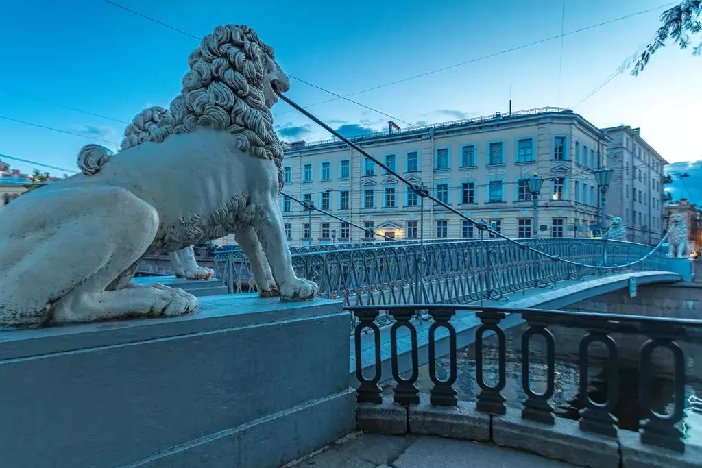 квартира г Санкт-Петербург метро Садовая наб Канала Грибоедова 102 Ленинградская область фото 41