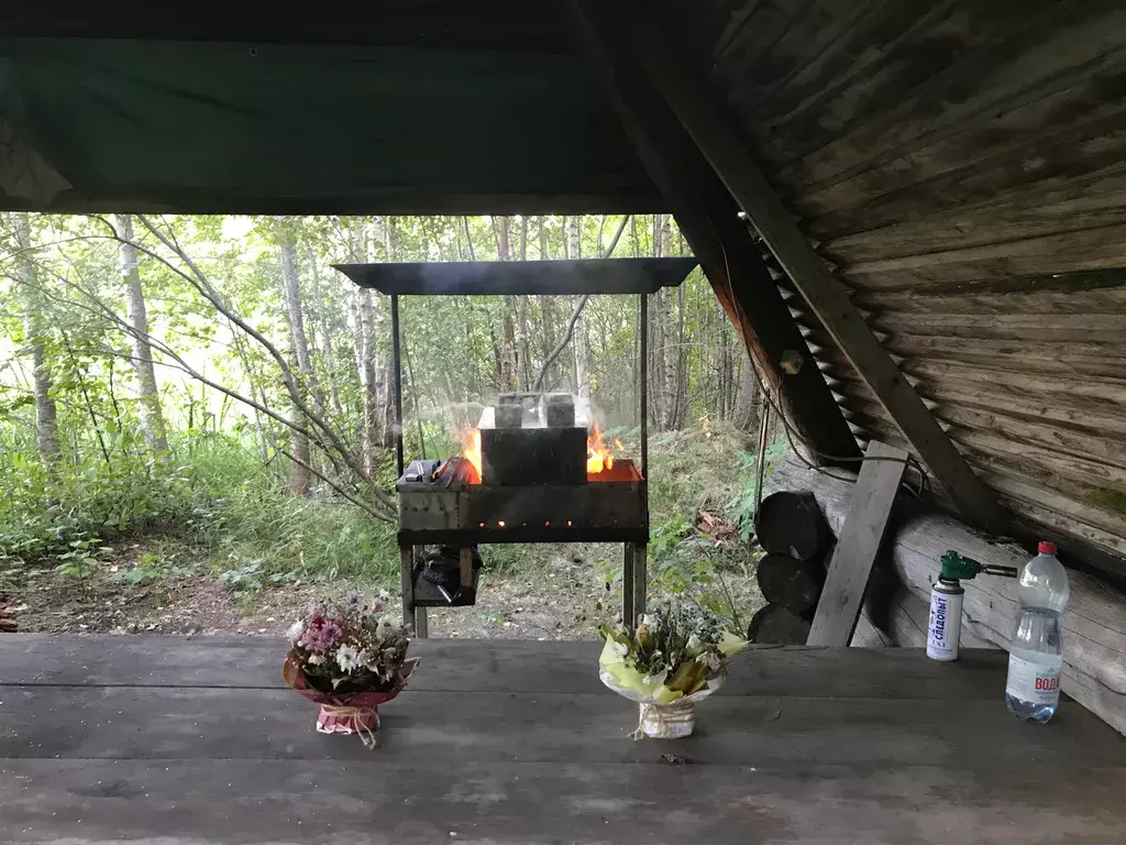 дом р-н Выборгский п Пальцево ул Николая Брагина 1 Выборг фото 39