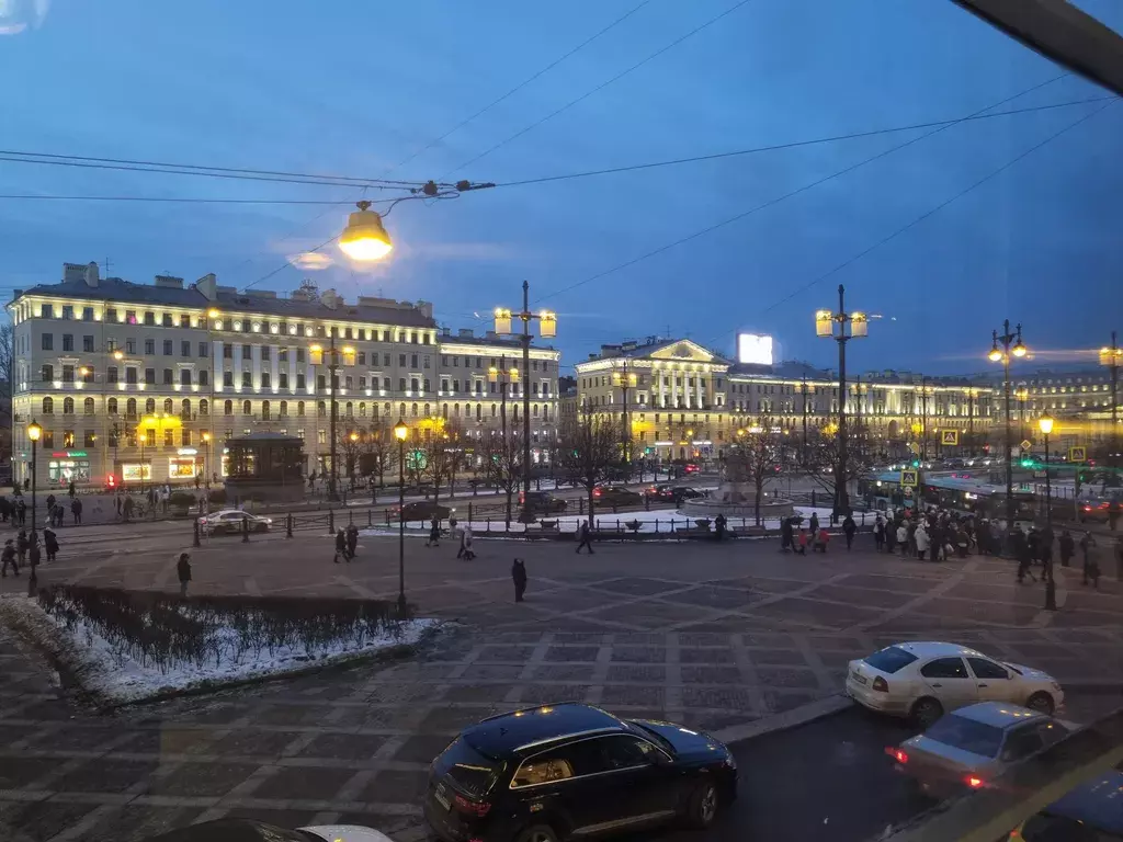 квартира г Санкт-Петербург метро Сенная Площадь пр-кт Московский 1/2 Ленинградская область фото 16