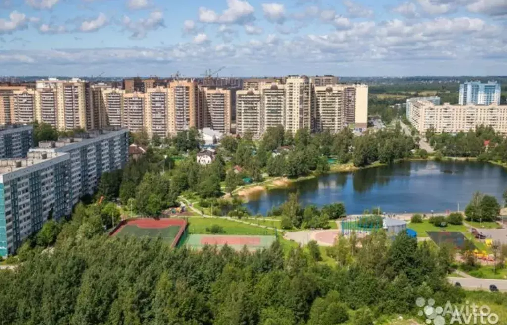 квартира г Санкт-Петербург метро Девяткино ул Кургальская 15 Ленинградская область фото 11