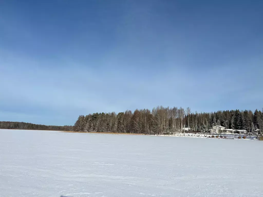 дом р-н Лужский д Раковичи ул Солнечная 30 Луга фото 28