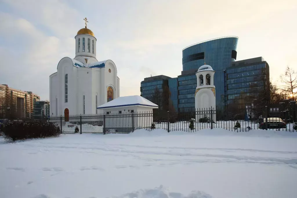 квартира г Санкт-Петербург метро Новочеркасская пр-кт Малоохтинский 38 Ленинградская область фото 28