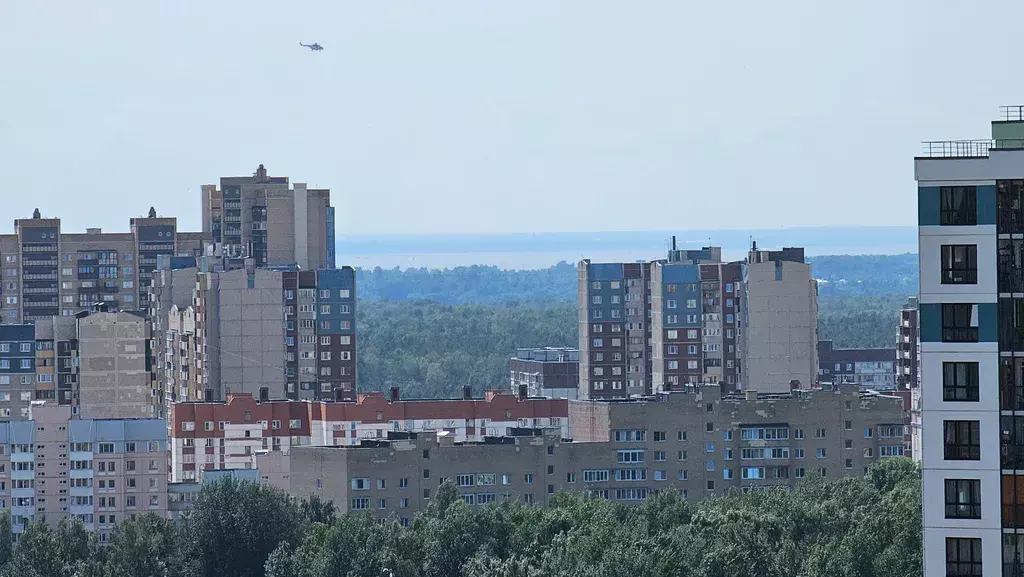 квартира г Санкт-Петербург метро Комендантский Проспект пр-кт Королёва 62 Ленинградская область фото 19