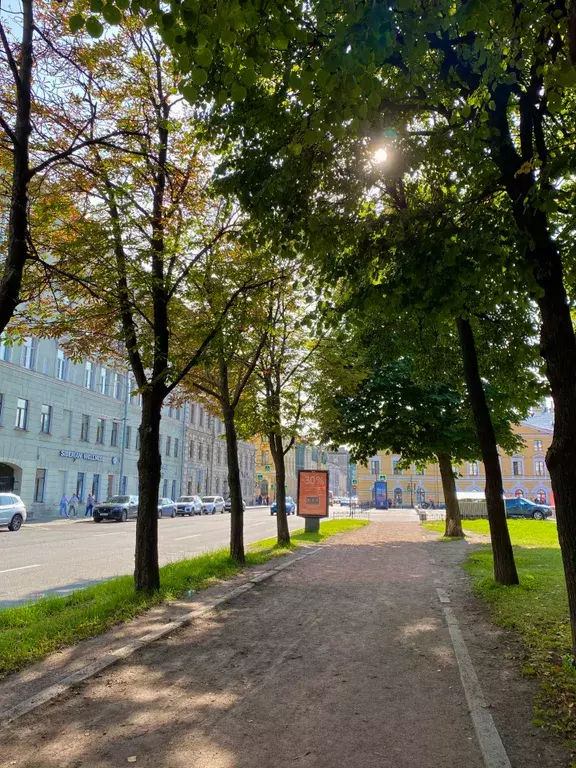 квартира г Санкт-Петербург метро Адмиралтейская ул Якубовича 8 Ленинградская область фото 35