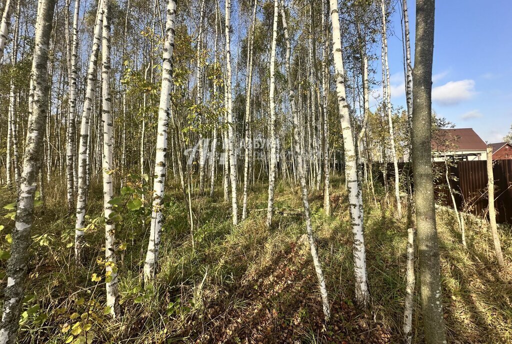 земля городской округ Чехов д Алексеевка фото 4