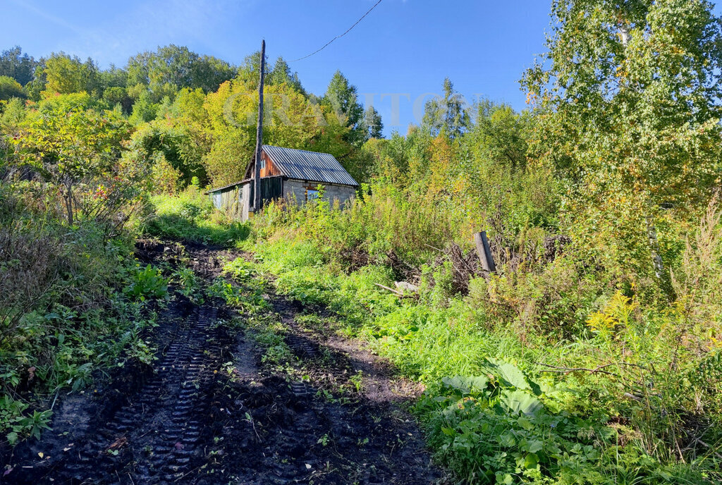 земля г Горно-Алтайск пер Облепиховый фото 5