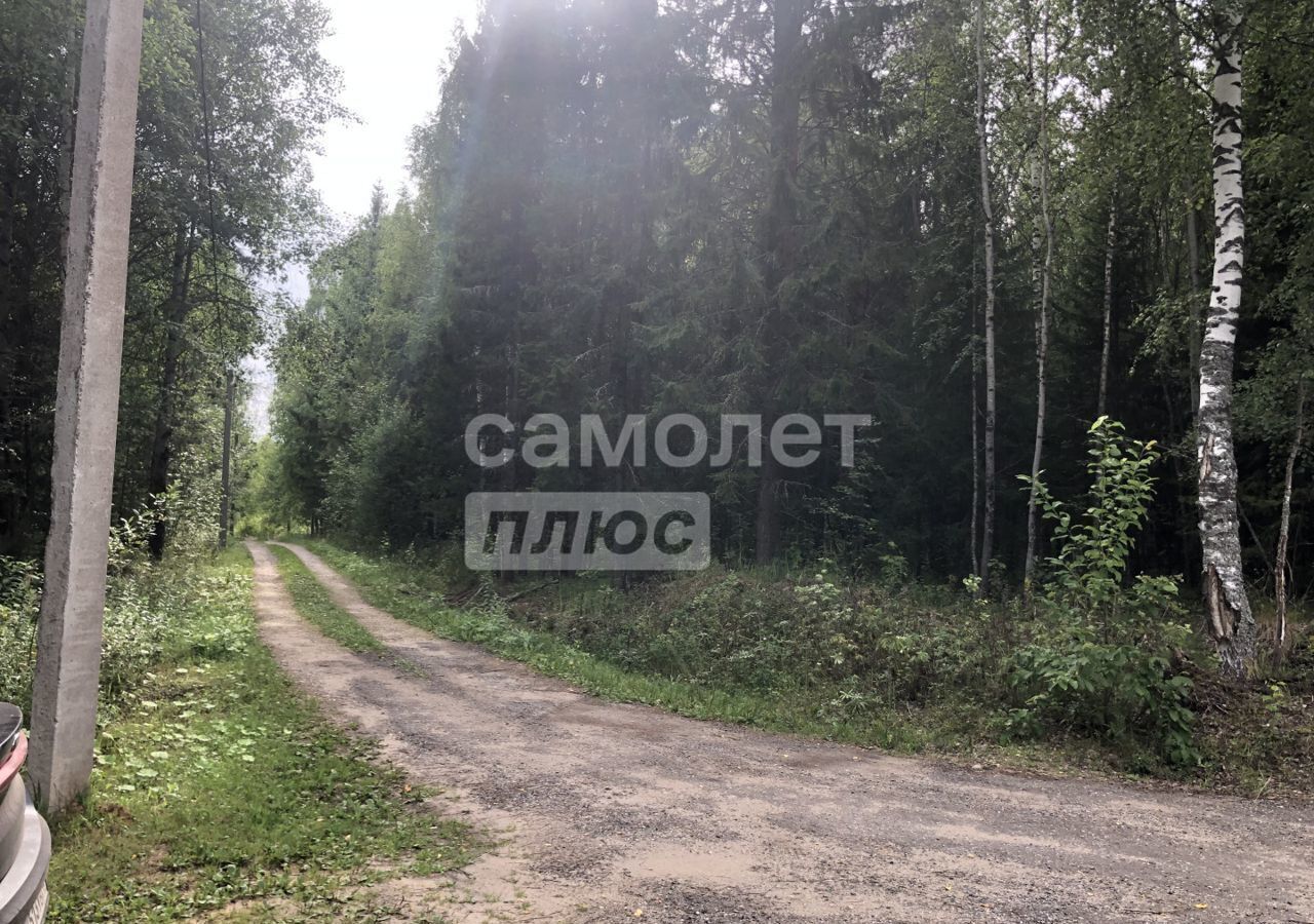 земля г Киров р-н Октябрьский тер сдт Экспресс-Сарбаи муниципальное образование Киров, Стрижи фото 9