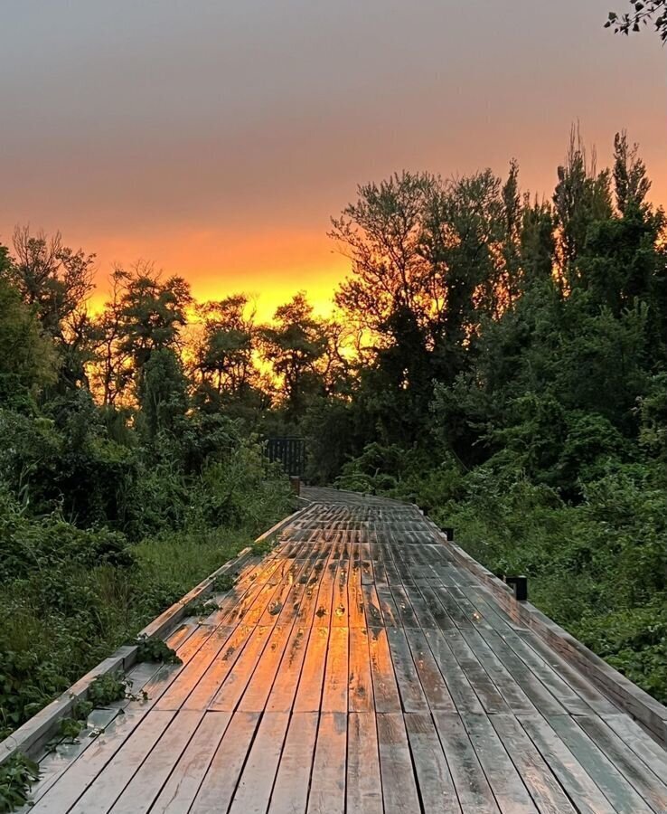 квартира г Махачкала р-н Кировский Благородная ул., 10 фото 13