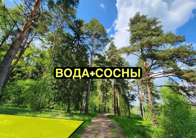 9774 км, 7, Чехов, Симферопольское шоссе фото