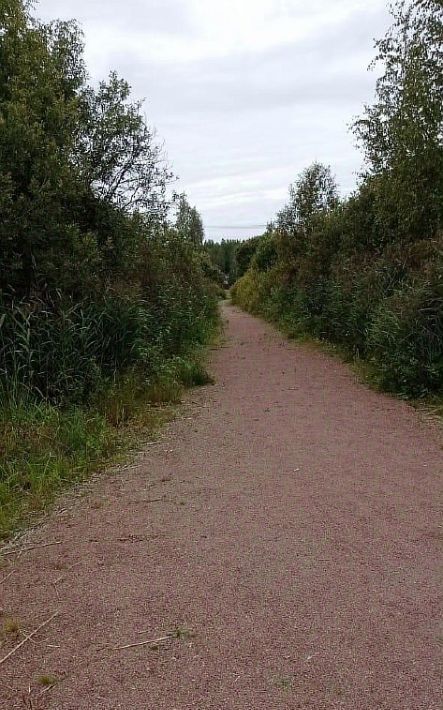 земля р-н Выборгский снт Петровское Каменногорское городское поселение, Возрожденский массив фото 7