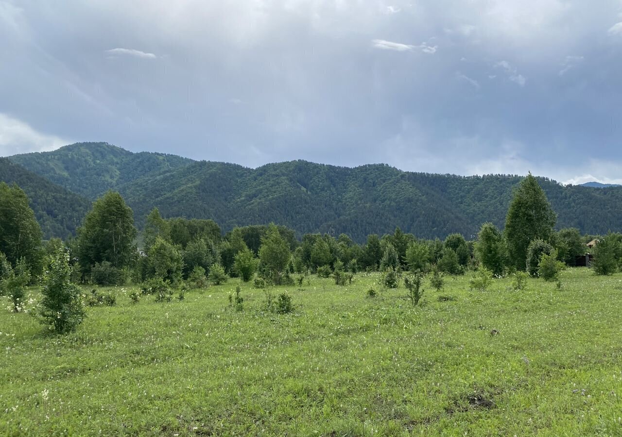 земля р-н Чемальский с Чемал Горно-Алтайск фото 14