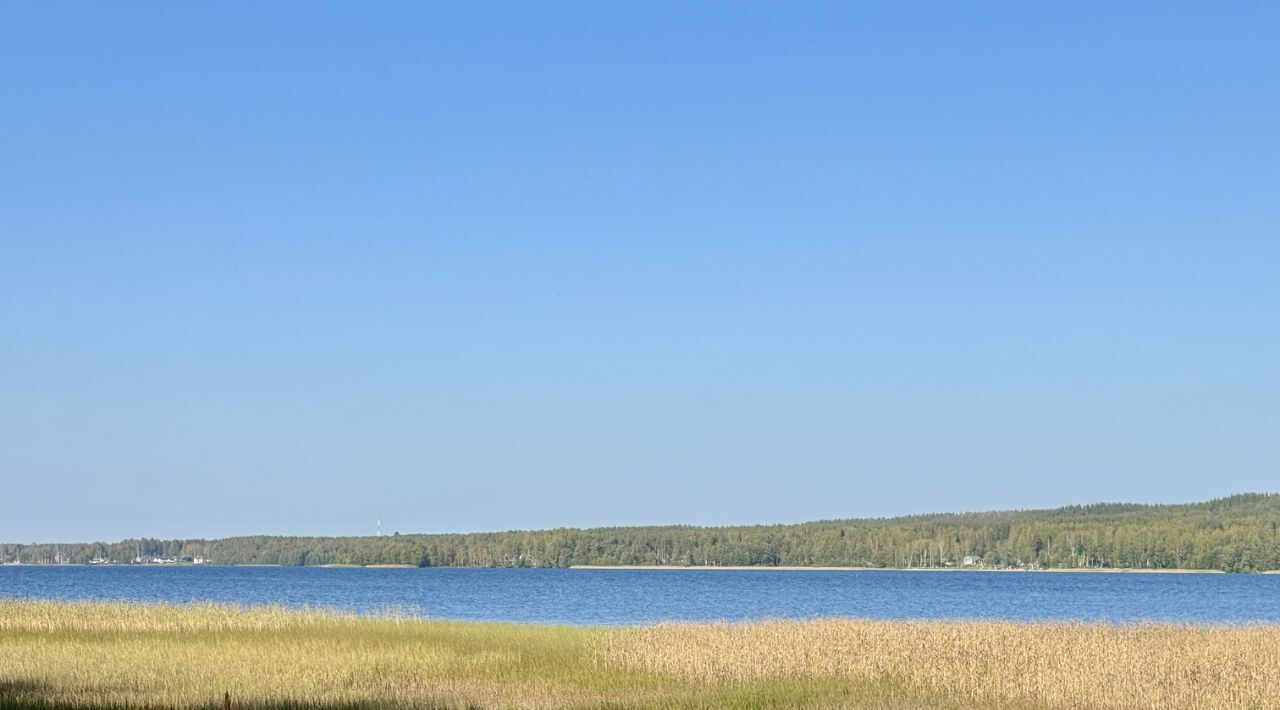 дом р-н Выборгский п Пушное ул Сержанта Ганина 12 Рощинское городское поселение фото 48