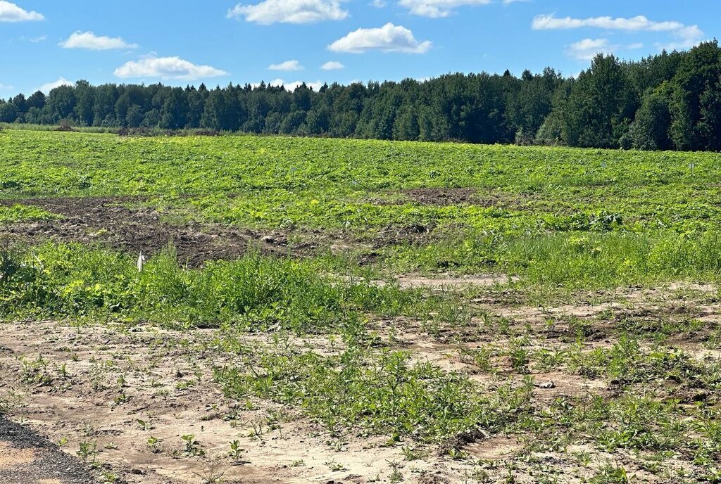 земля городской округ Клин д Темново фото 10