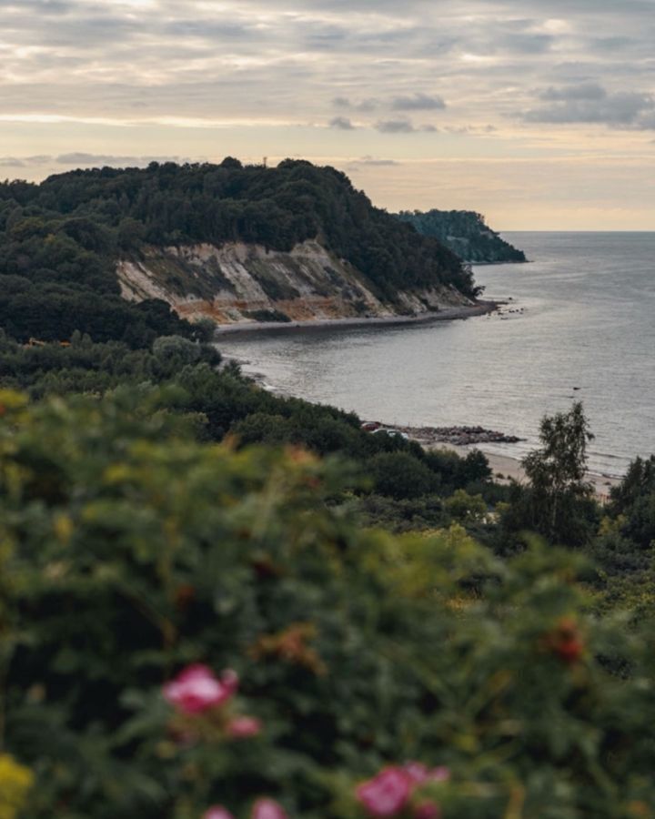 квартира р-н Светлогорский п Лесное стр. 1, Светлогорск фото 4